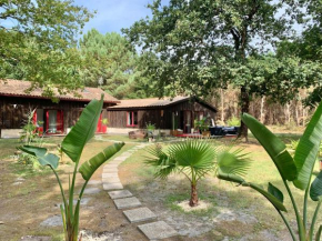 House de la Canopée with Garden and WIFI